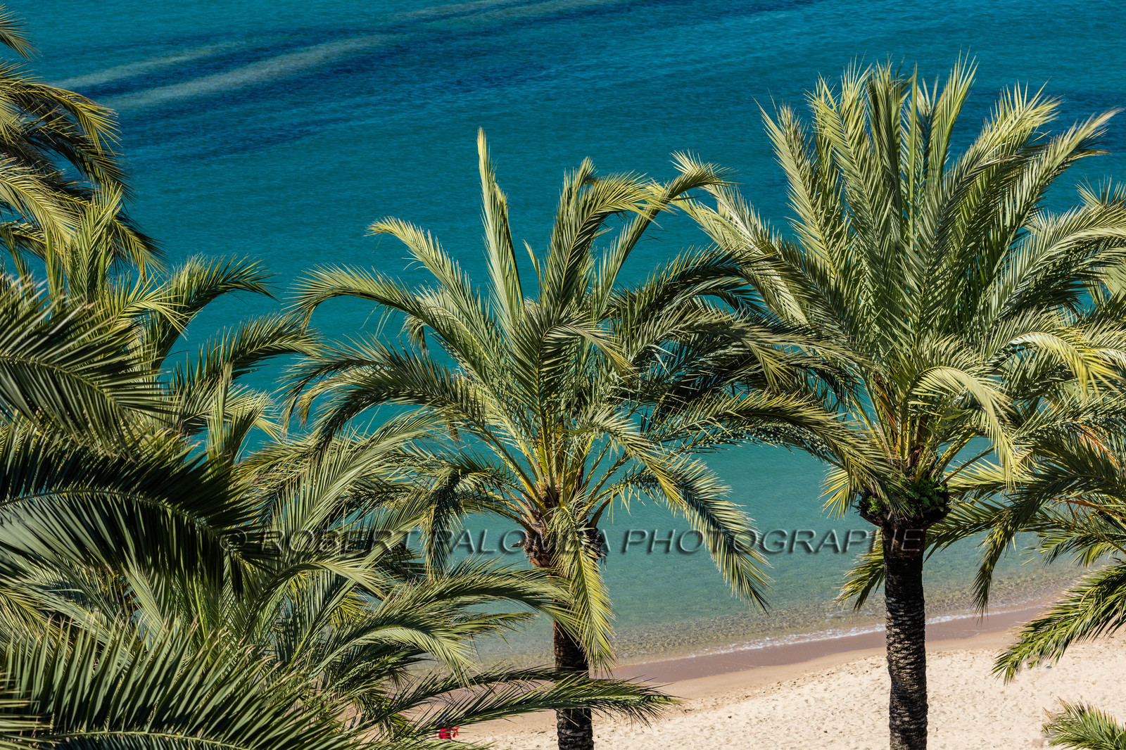 Cannes