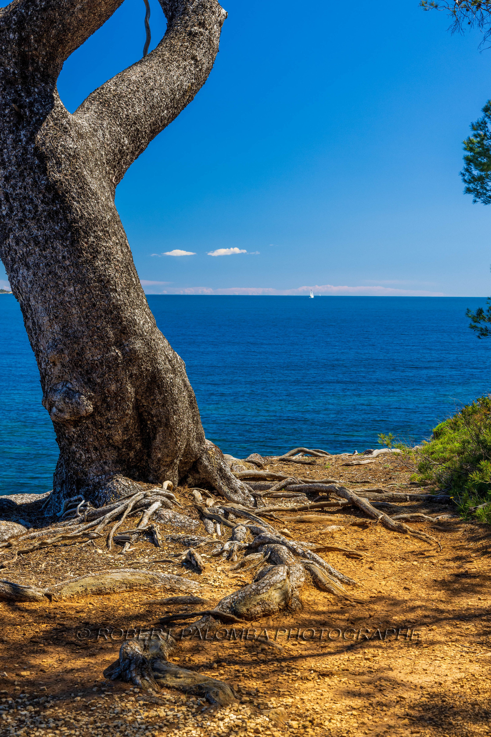 Lérins Sainte-Marguerite 2024