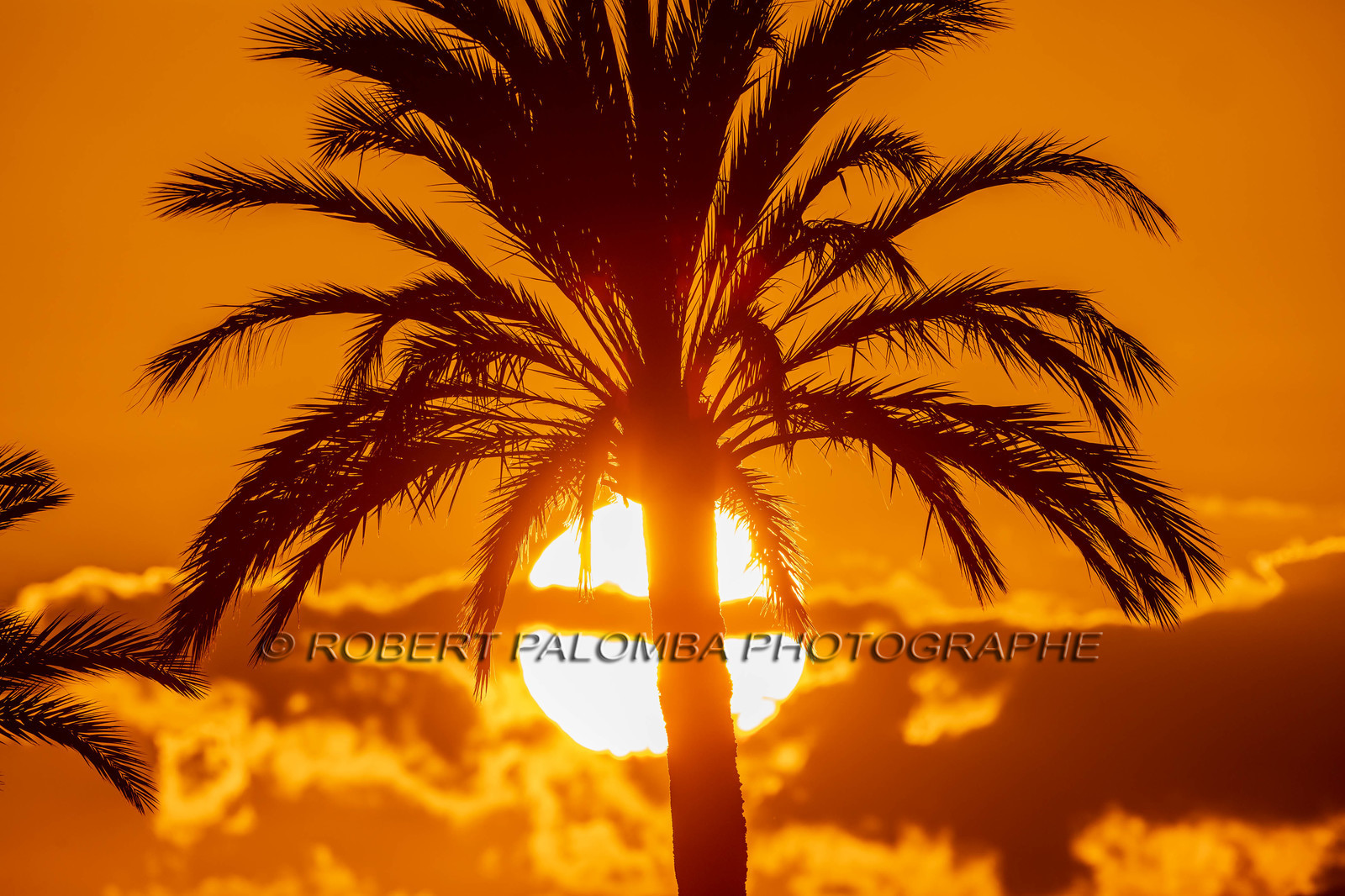 Saint-Laurent-du-Var