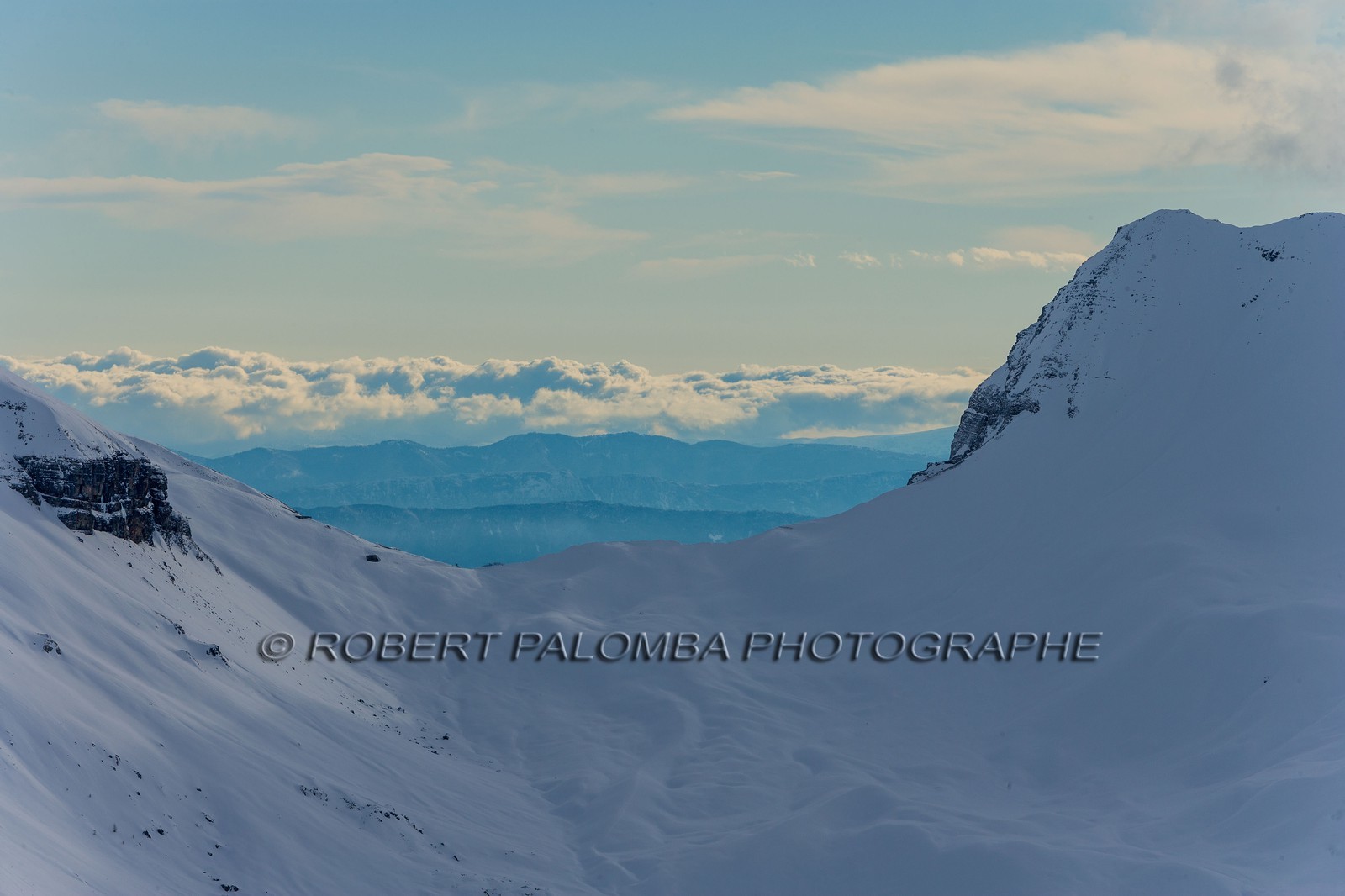 Auron