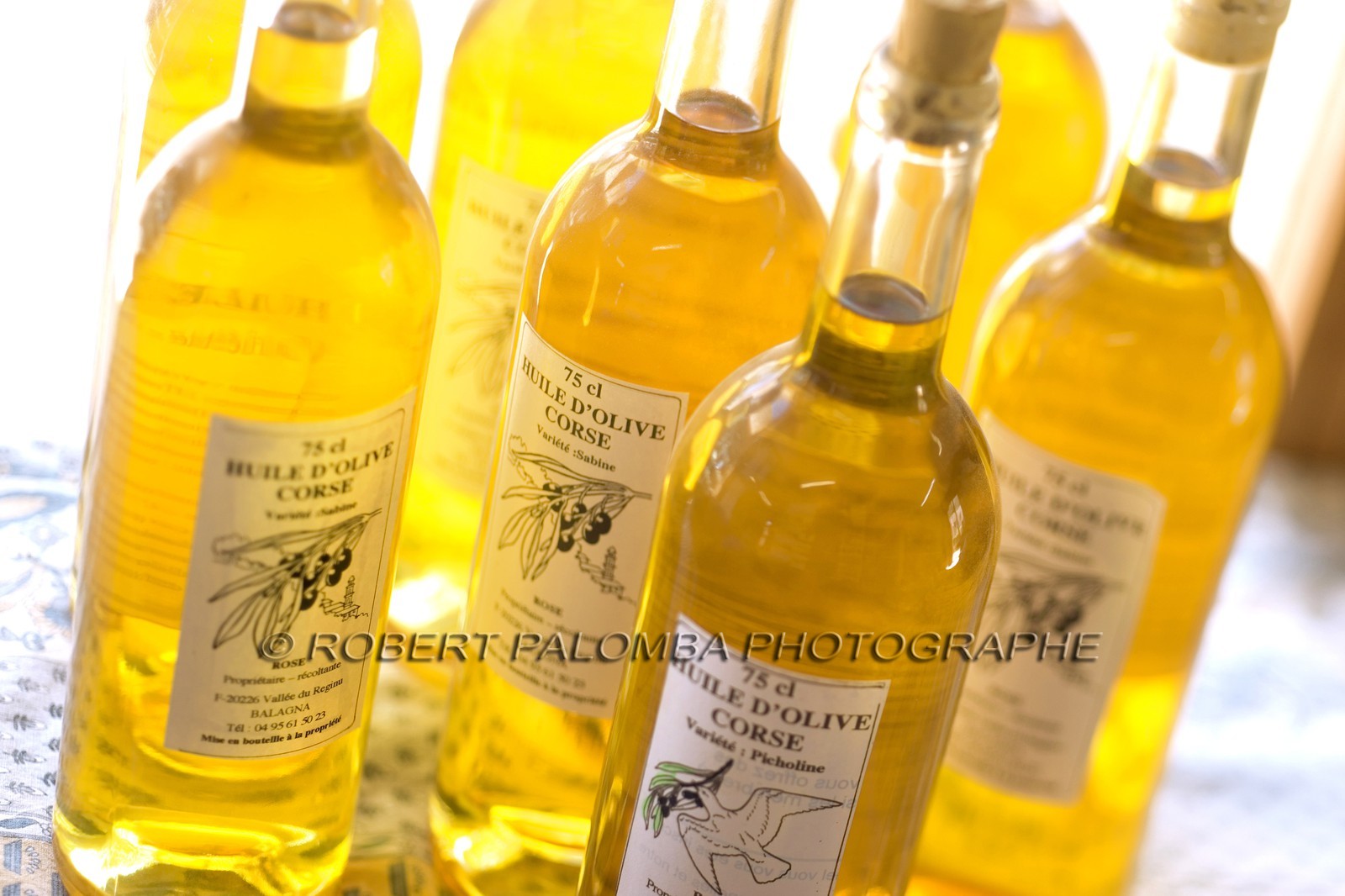 Huile d'olive, oléiculture