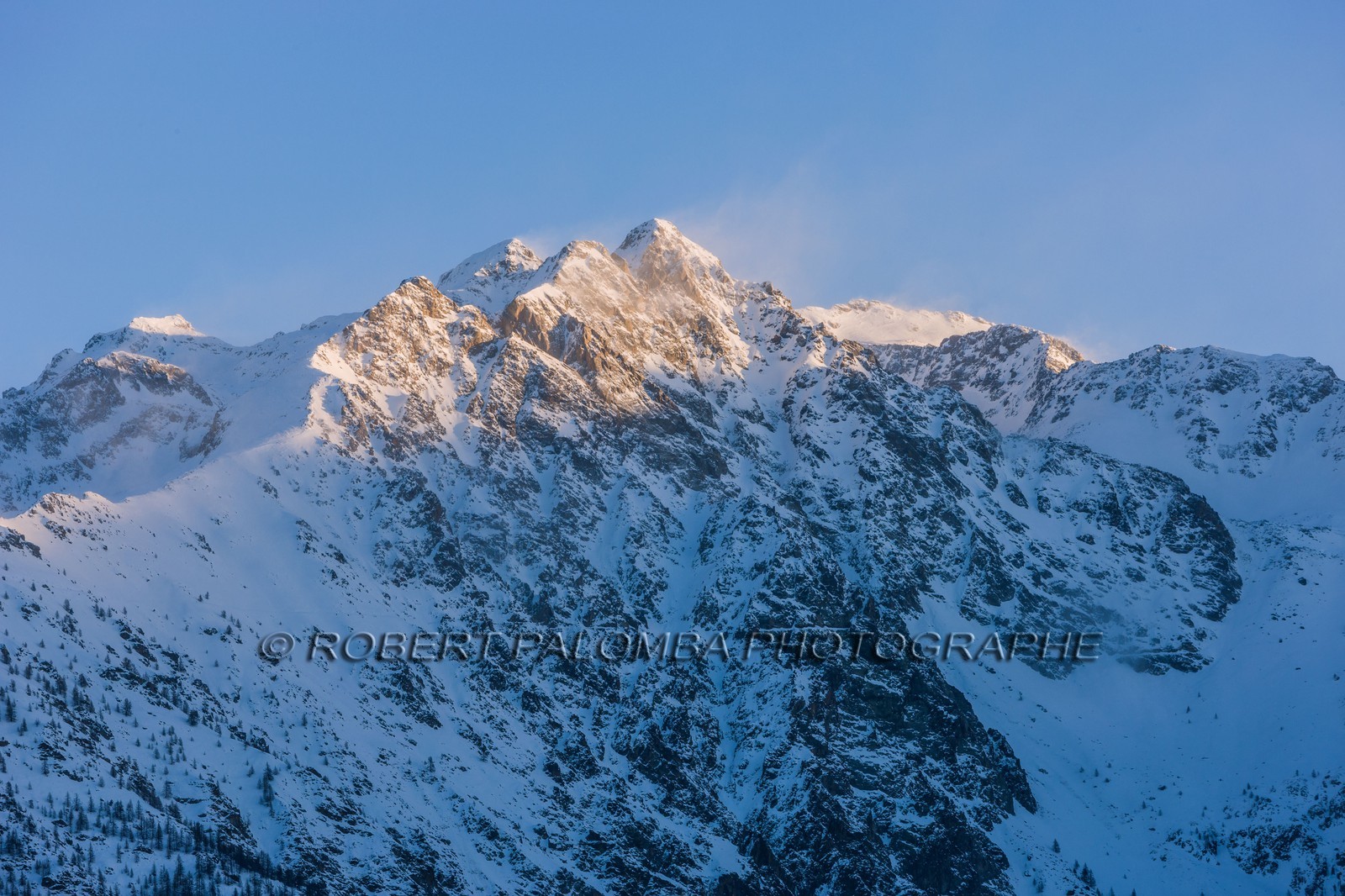 Auron