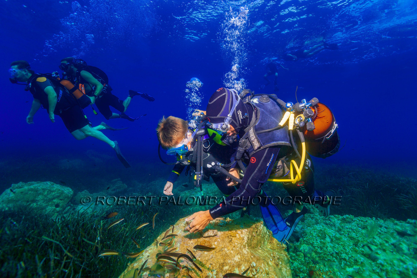 Plongée-sous-marine