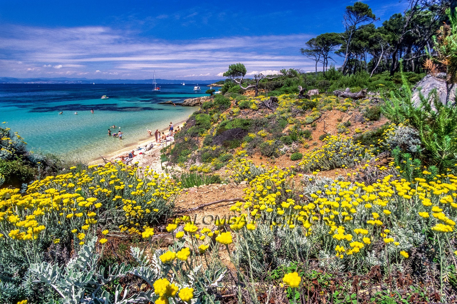 Porquerolles