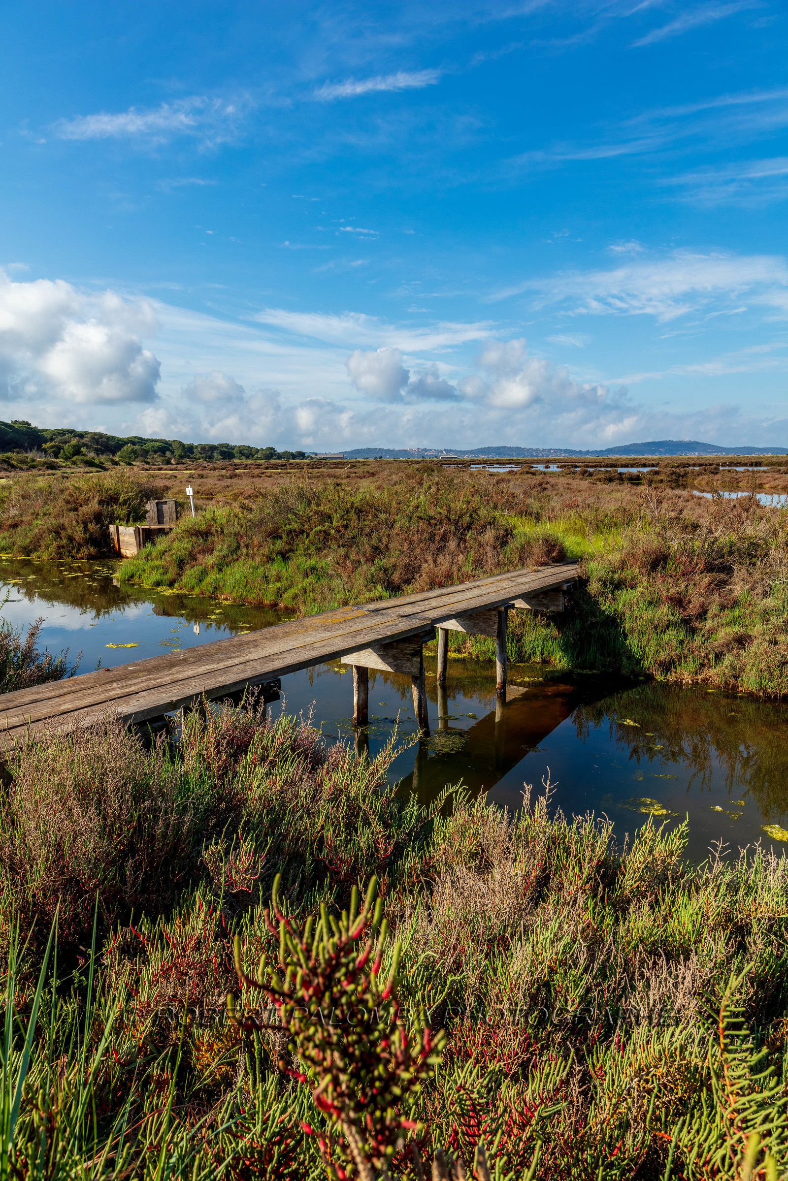 Salins d'Hyères