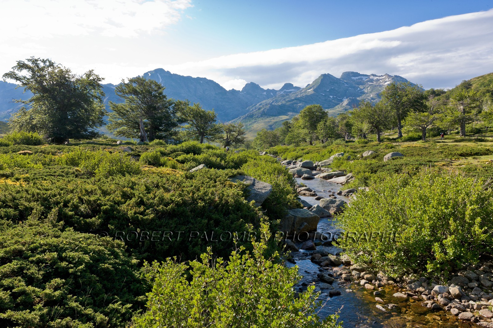 GR 20 Nord