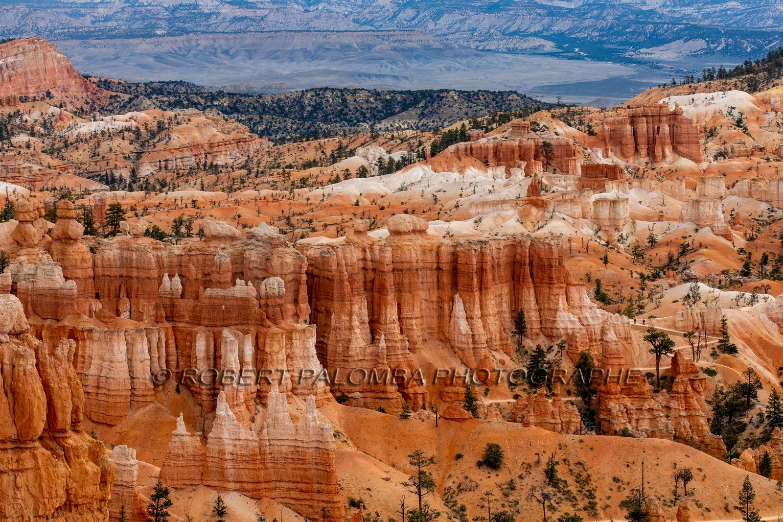 Bryce Canyon