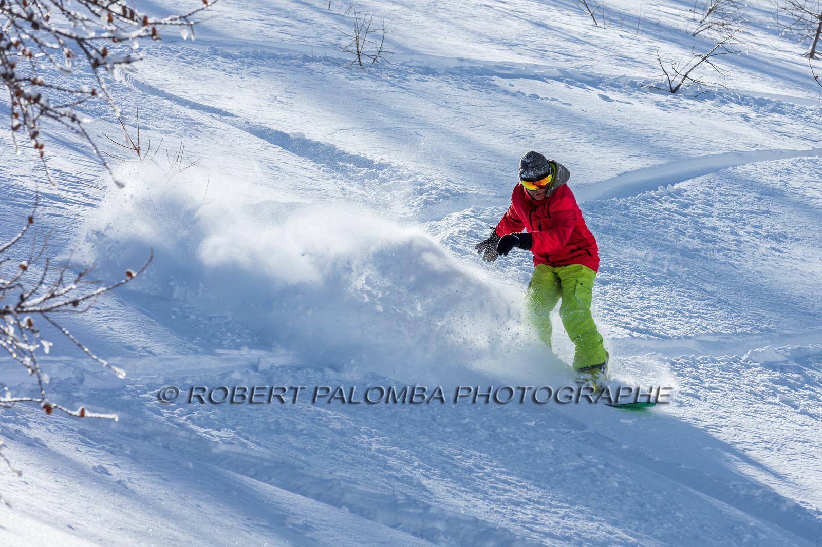Snowboard