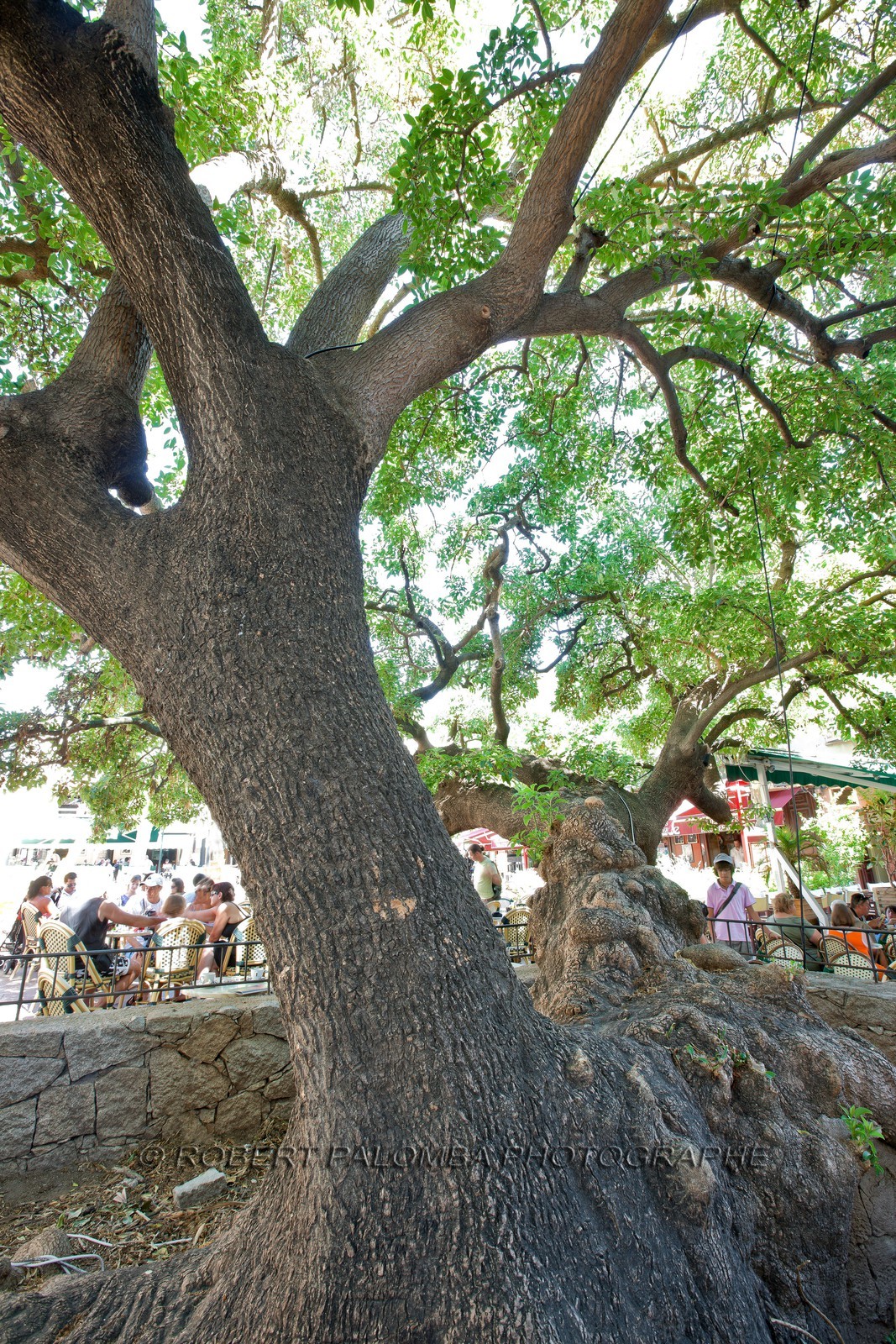 Porto Vecchio