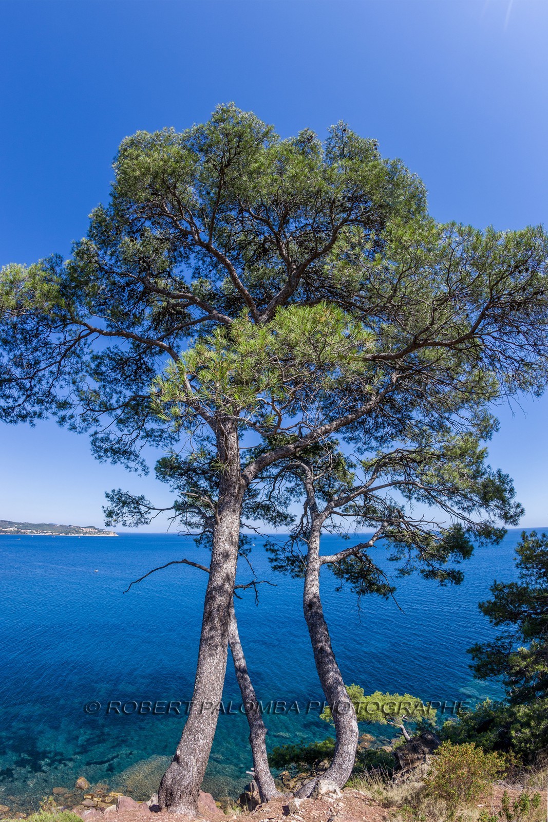 La Seyne-sur-Mer