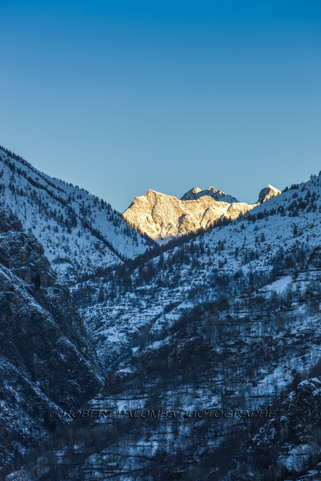 Auron