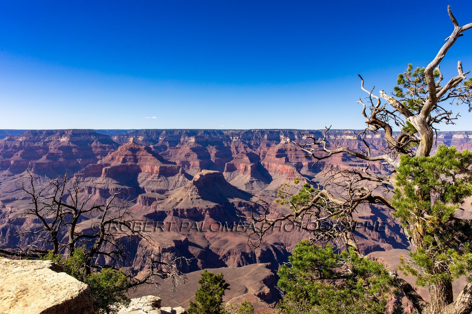 Grand Canyon