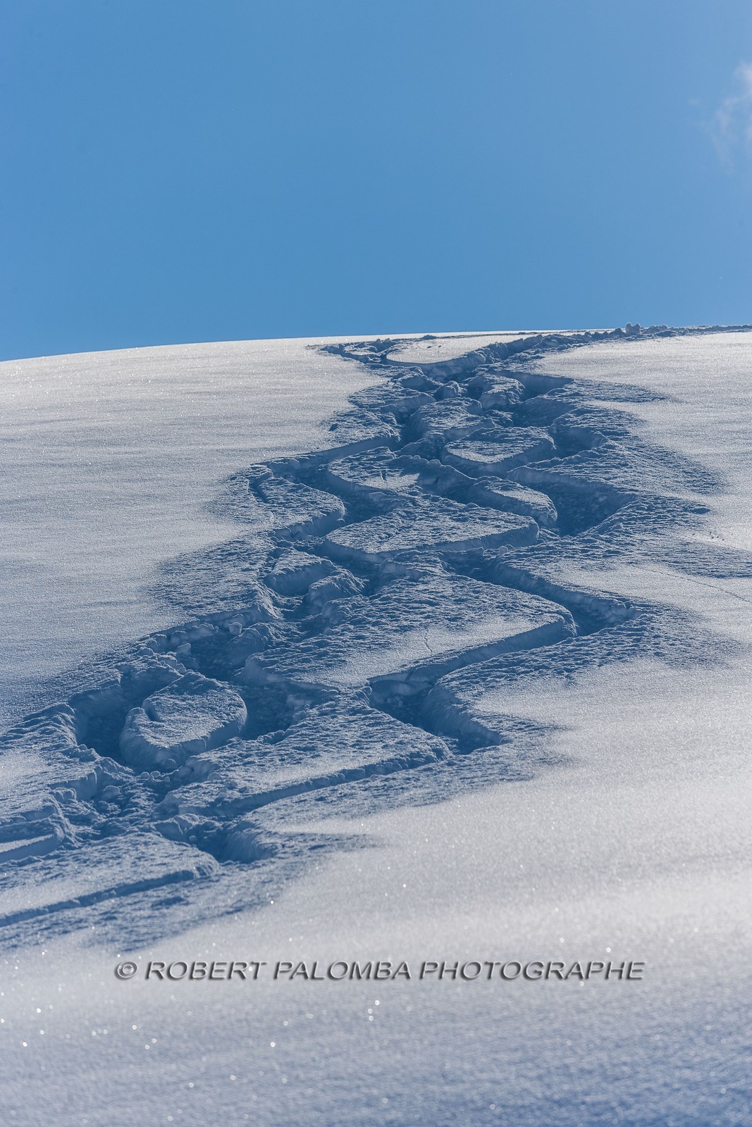 Auron