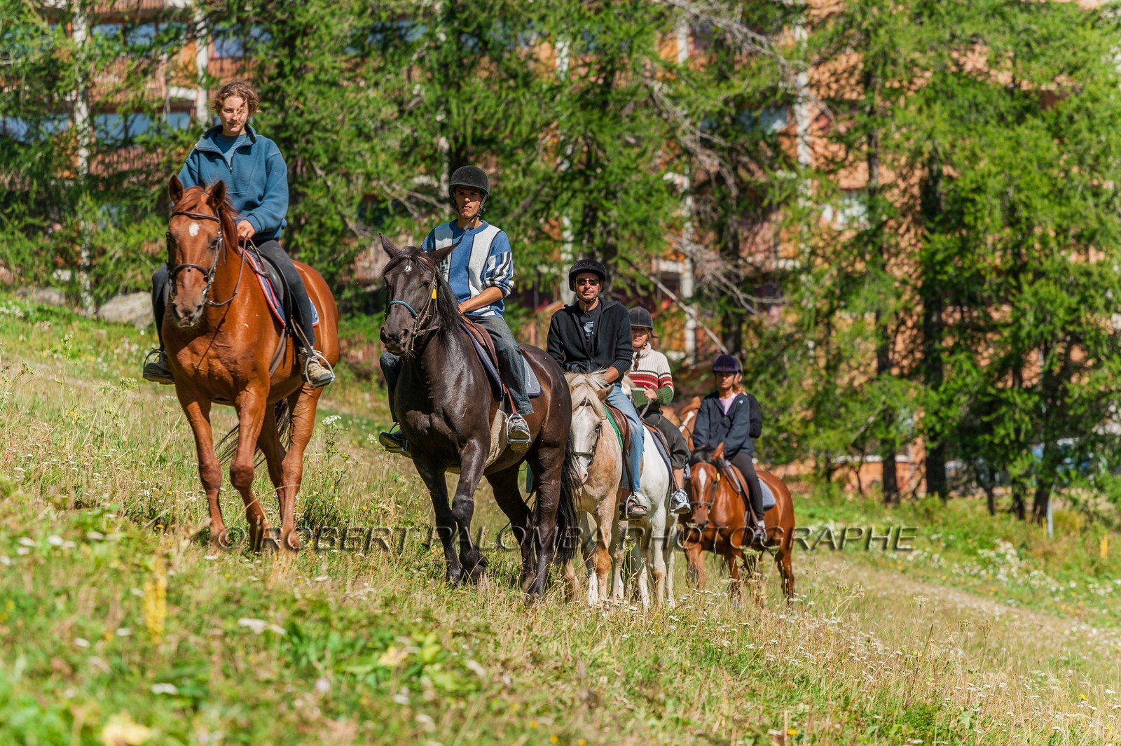 Equitation