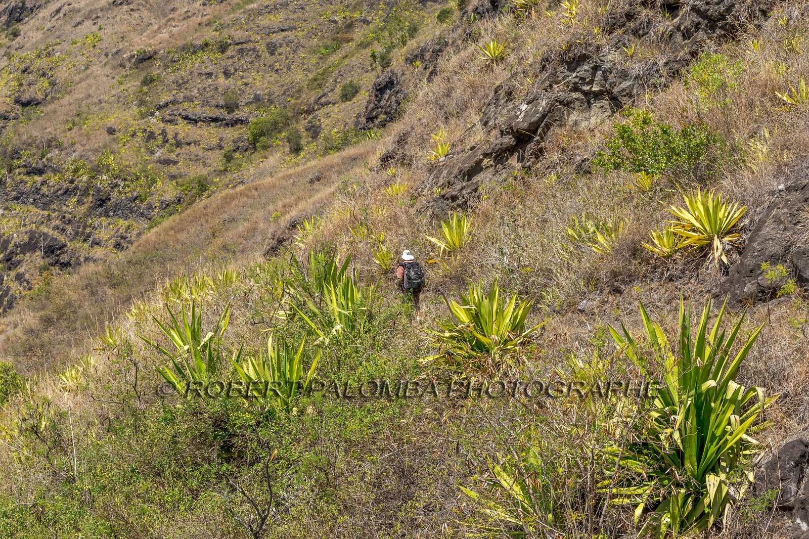 Ile de La Réunion