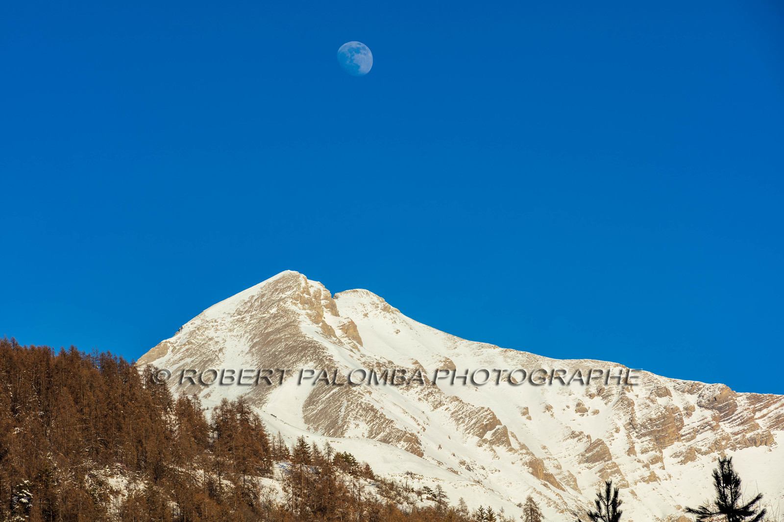 Mont Pelat