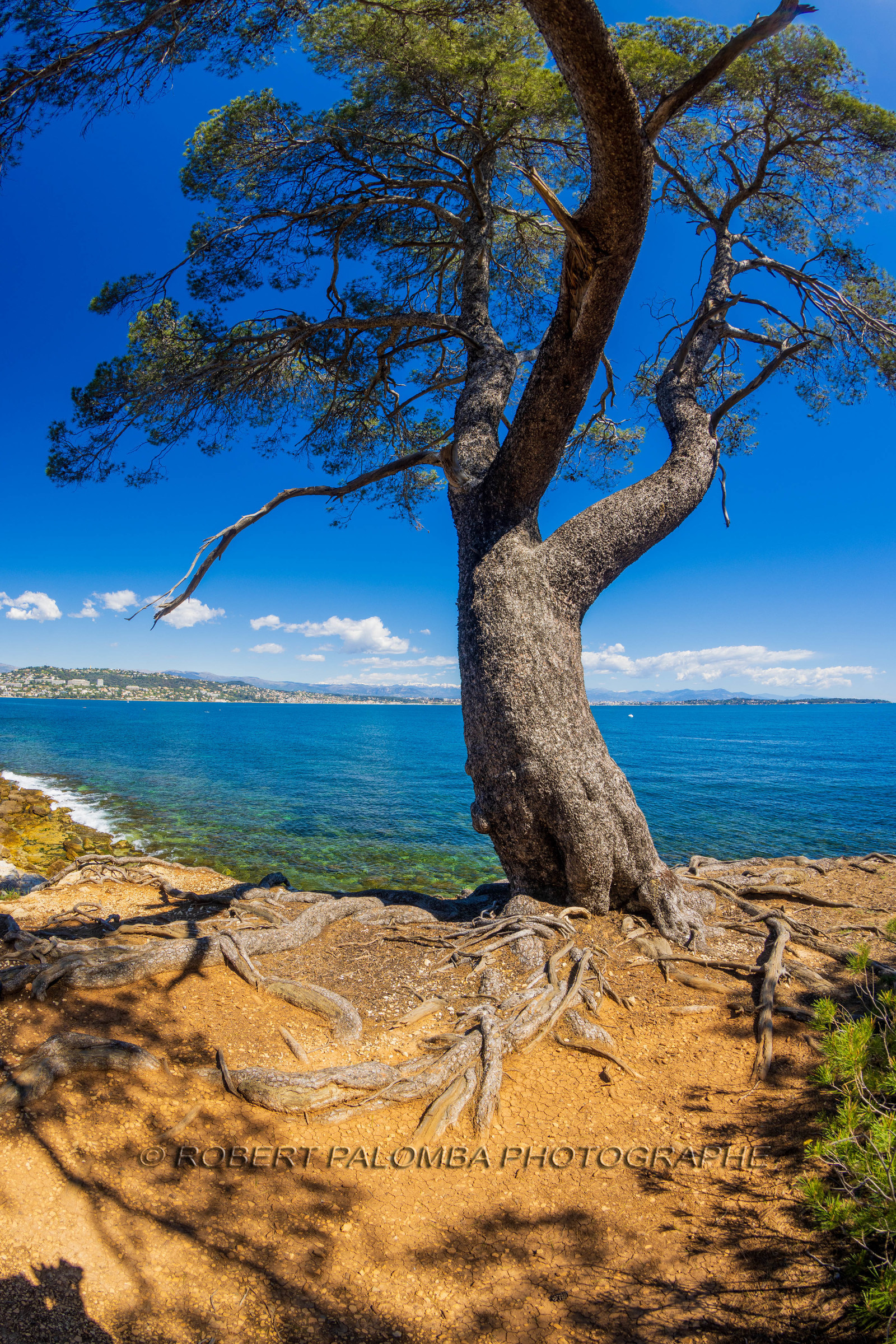 Lérins Sainte-Marguerite 2024