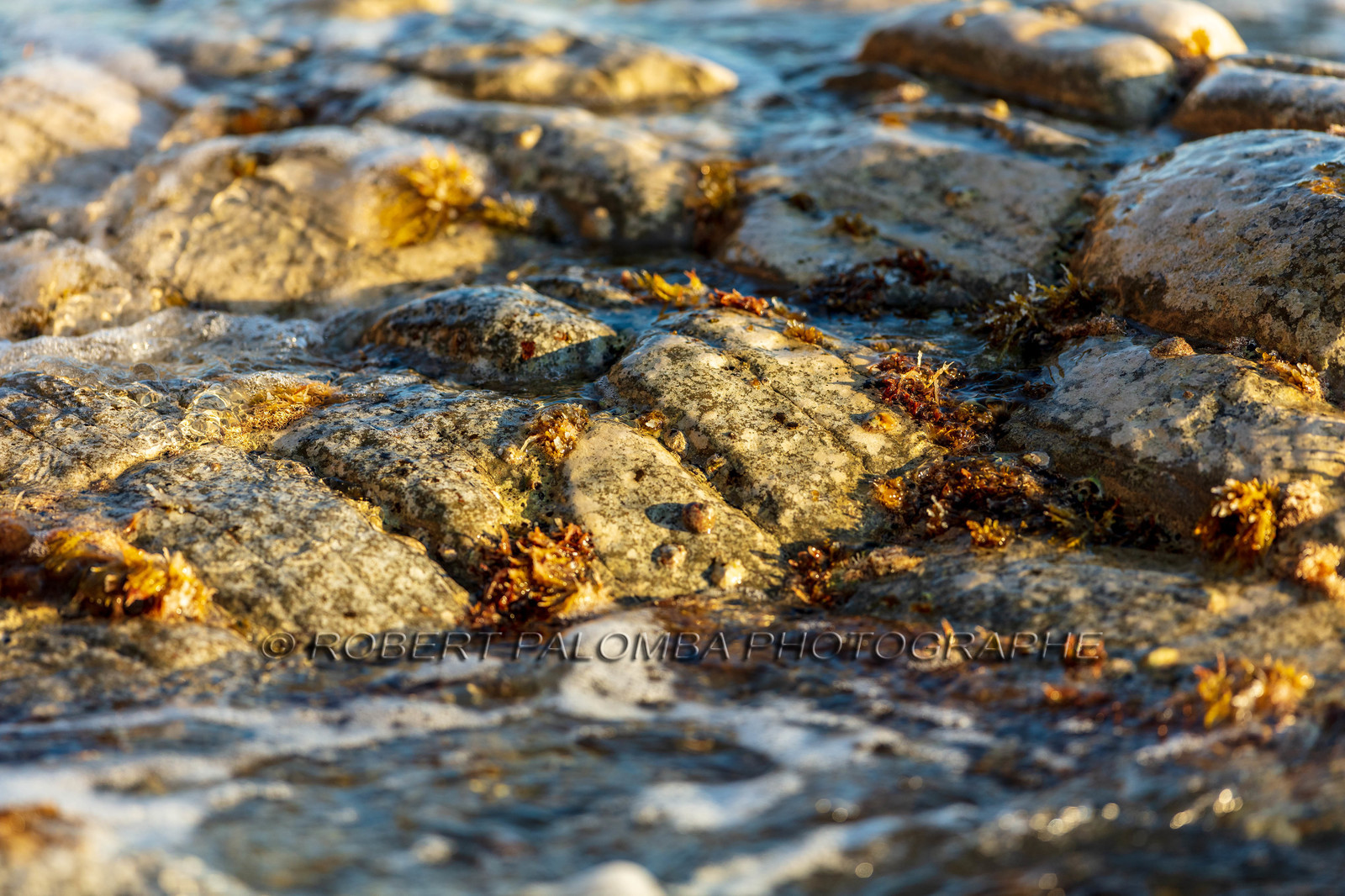 La Seyne-sur-Mer