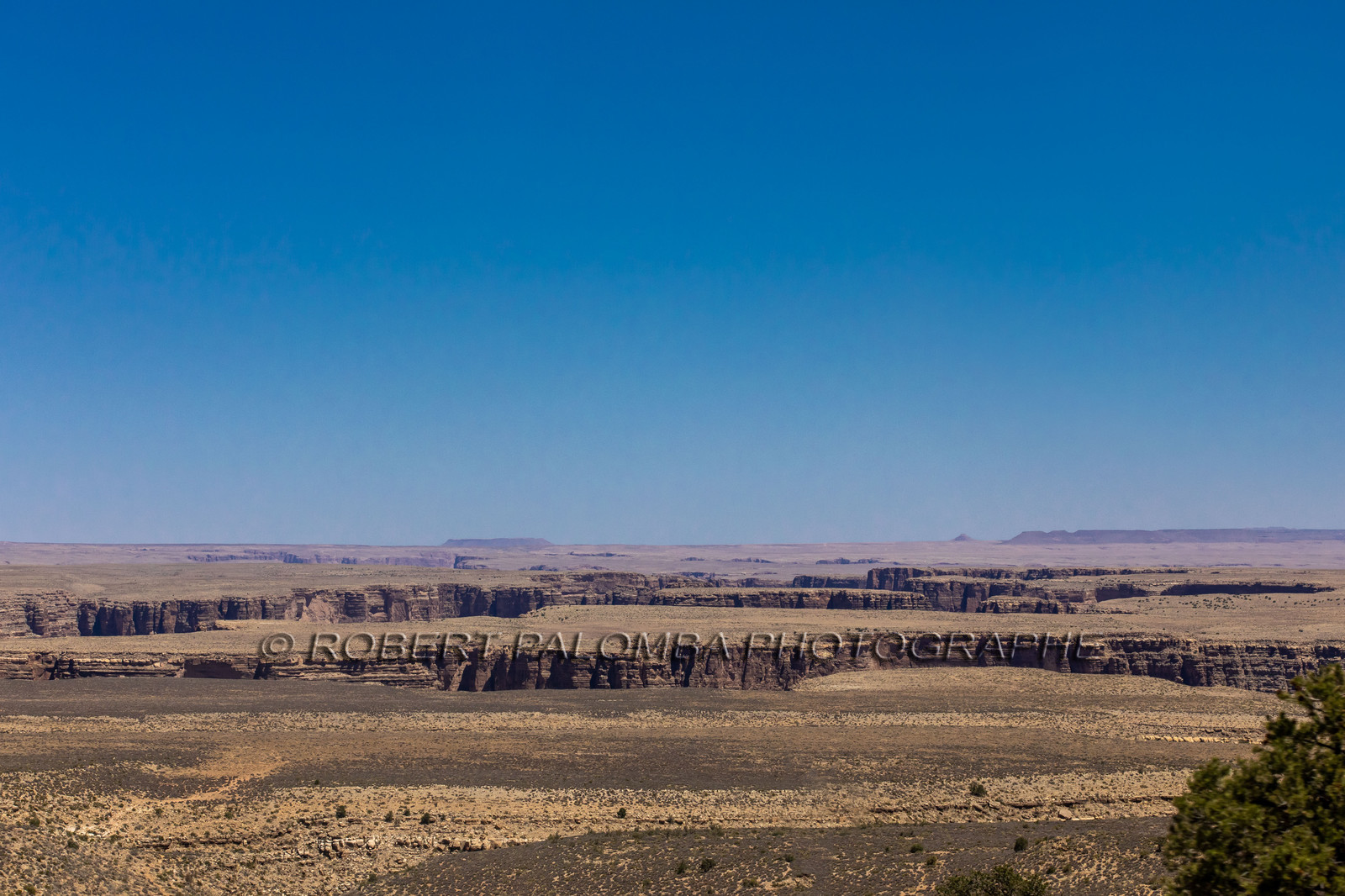 Sur la route en quittant le Grand Canyon
