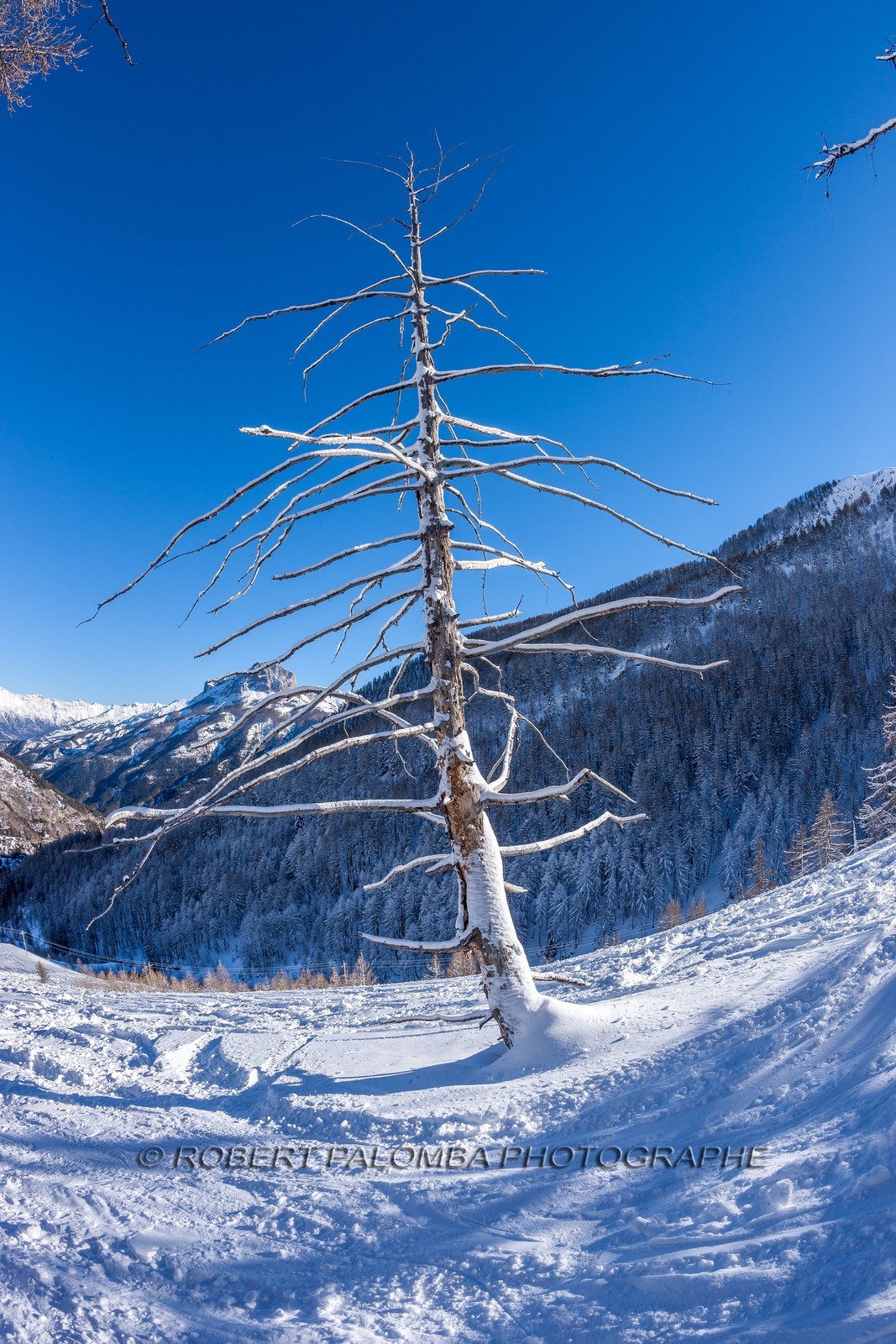 La Foux d'Allos