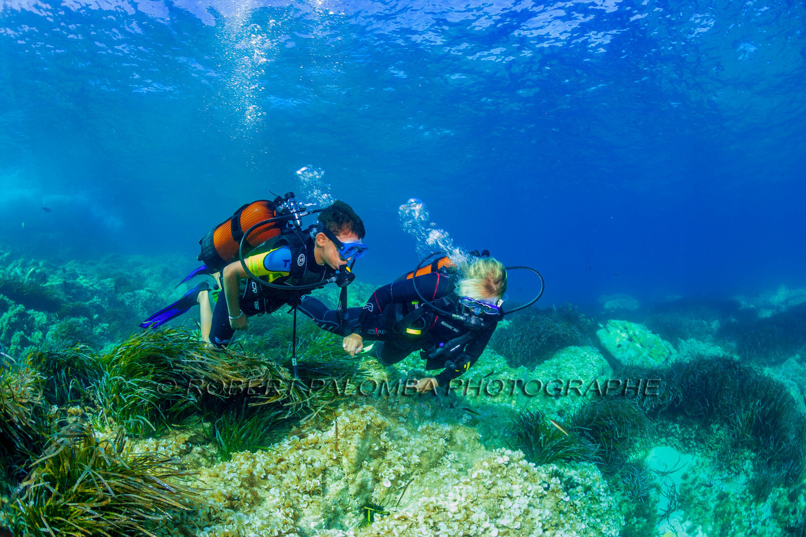 Plongée-sous-marine
