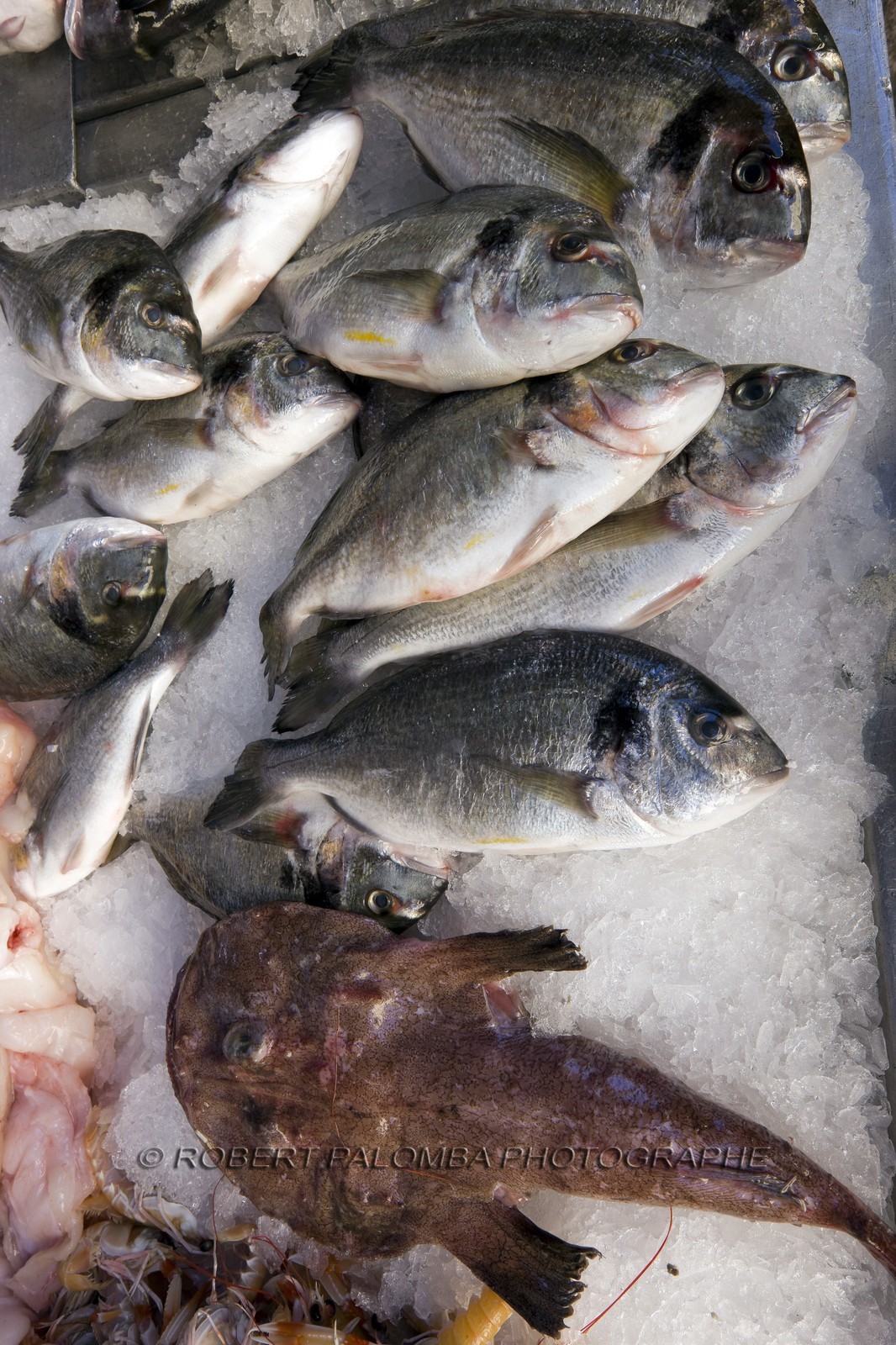Poissonnier