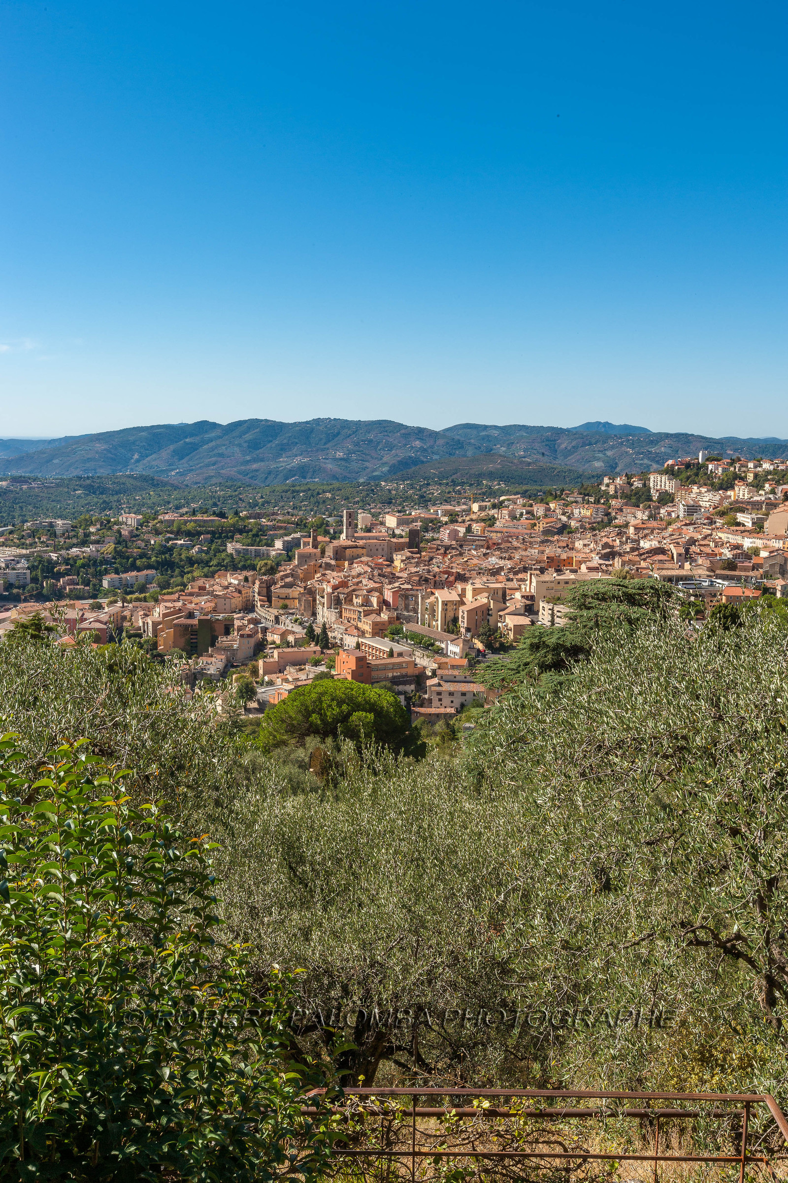 Grasse