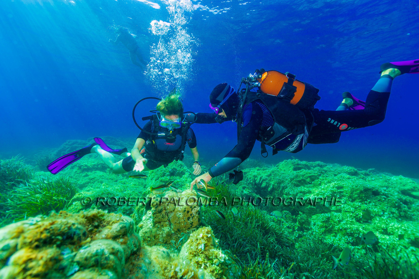 Plongée-sous-marine