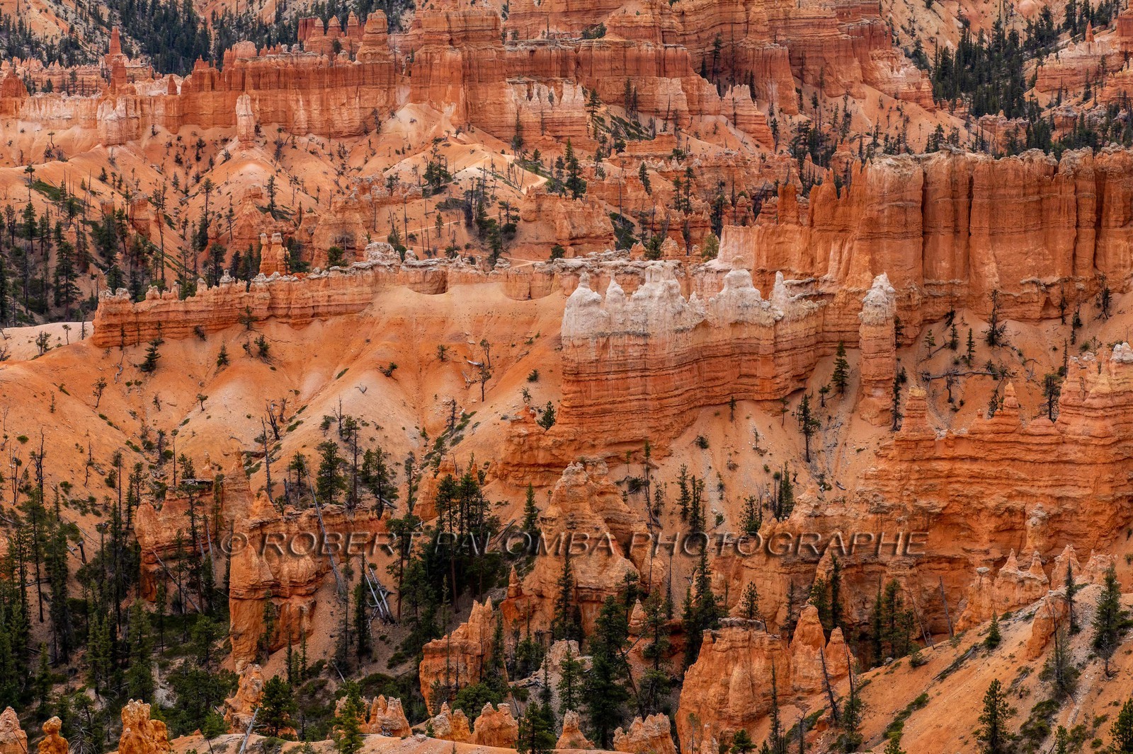 Bryce Canyon