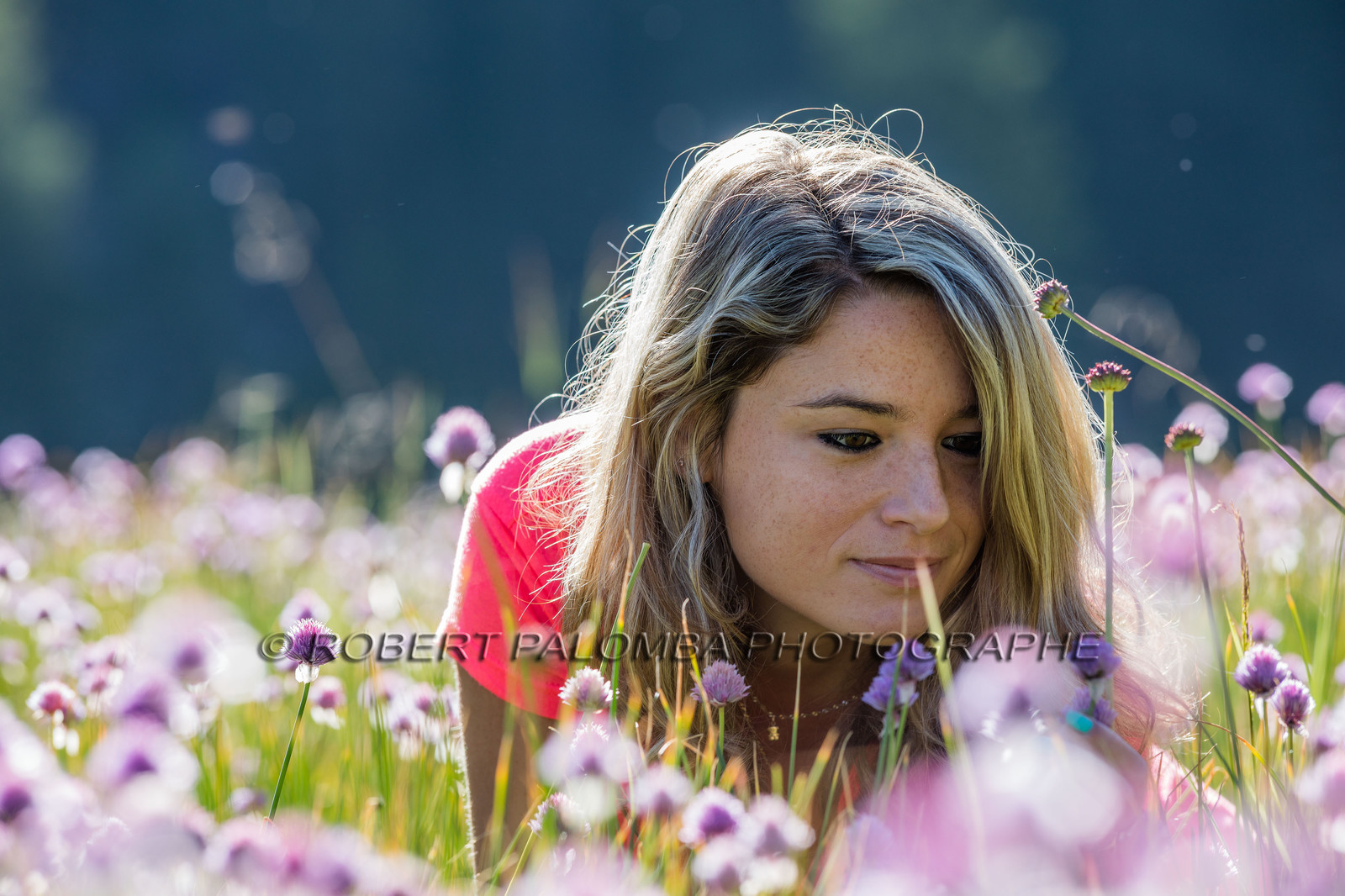 Alpes-de-Haute-Provence (04) Val d'Allos