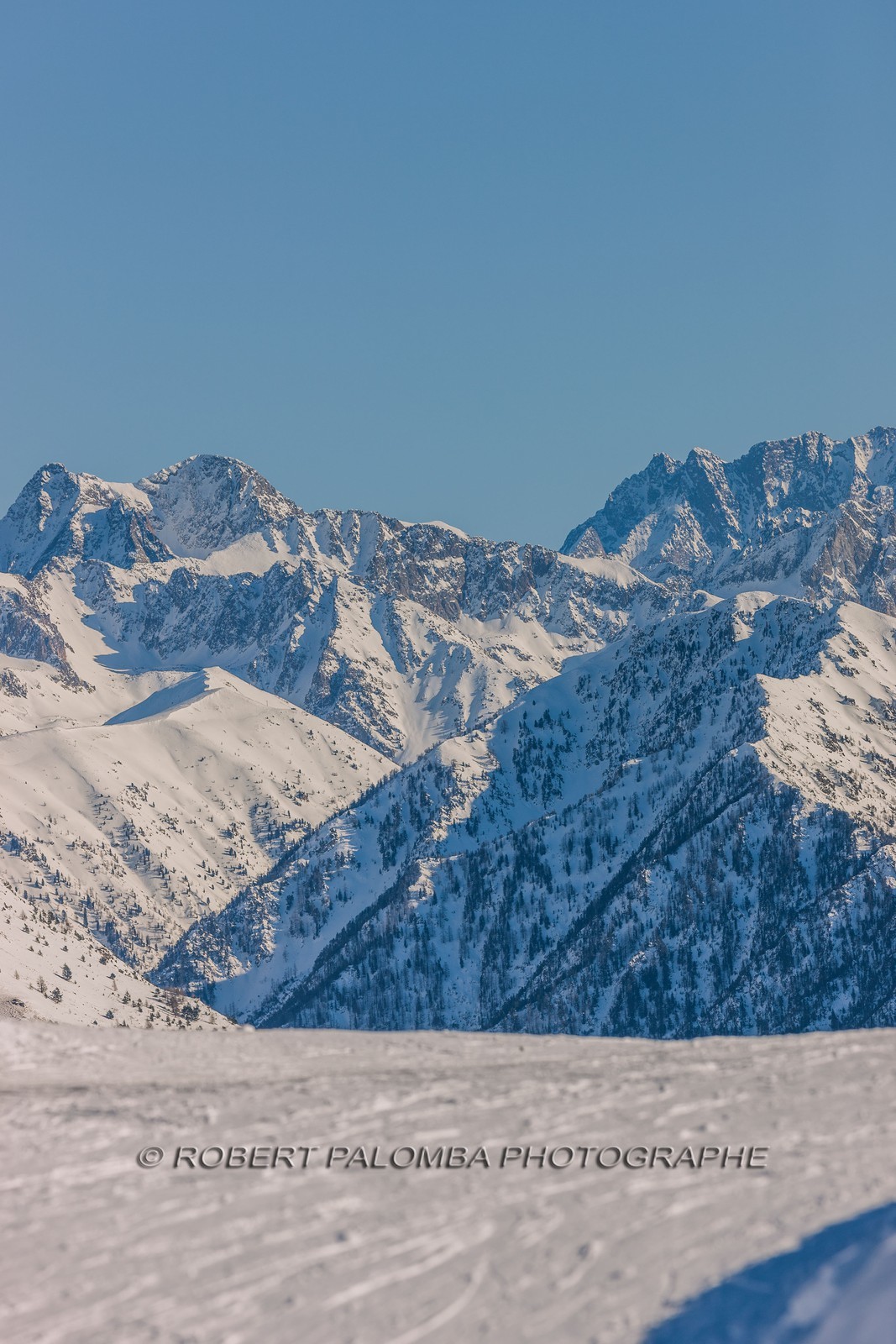 Auron