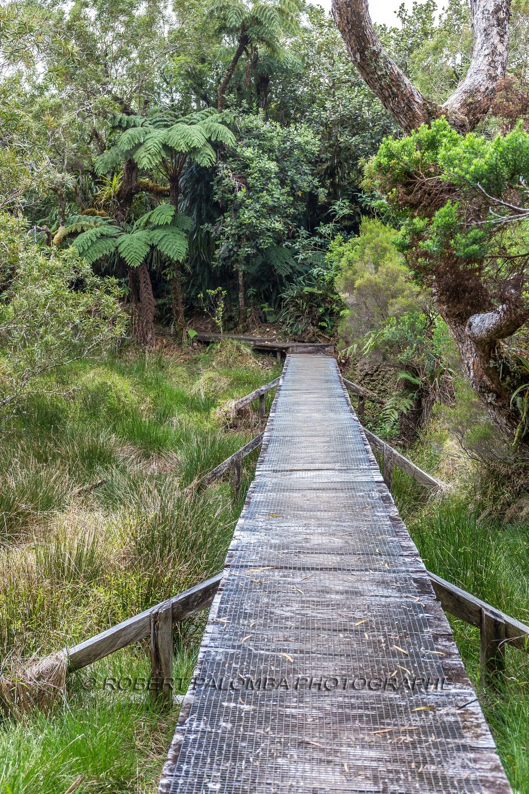 Ile de La Réunion