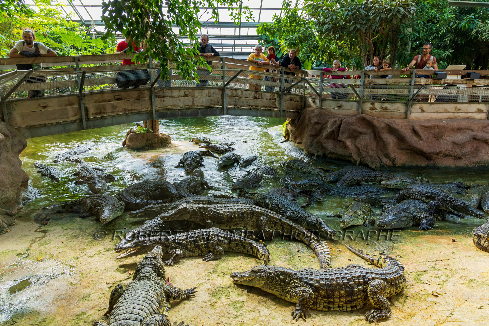 La Ferme aux crocodiles