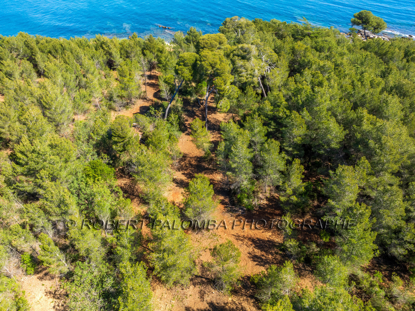 Lérins Sainte-Marguerite 2024