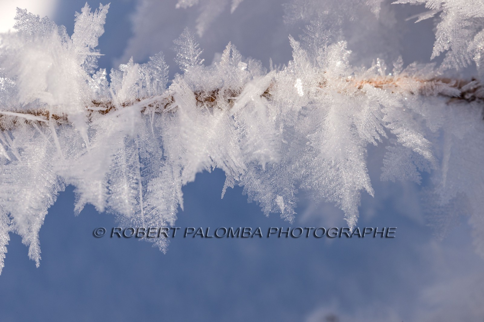 Cristaux de neige