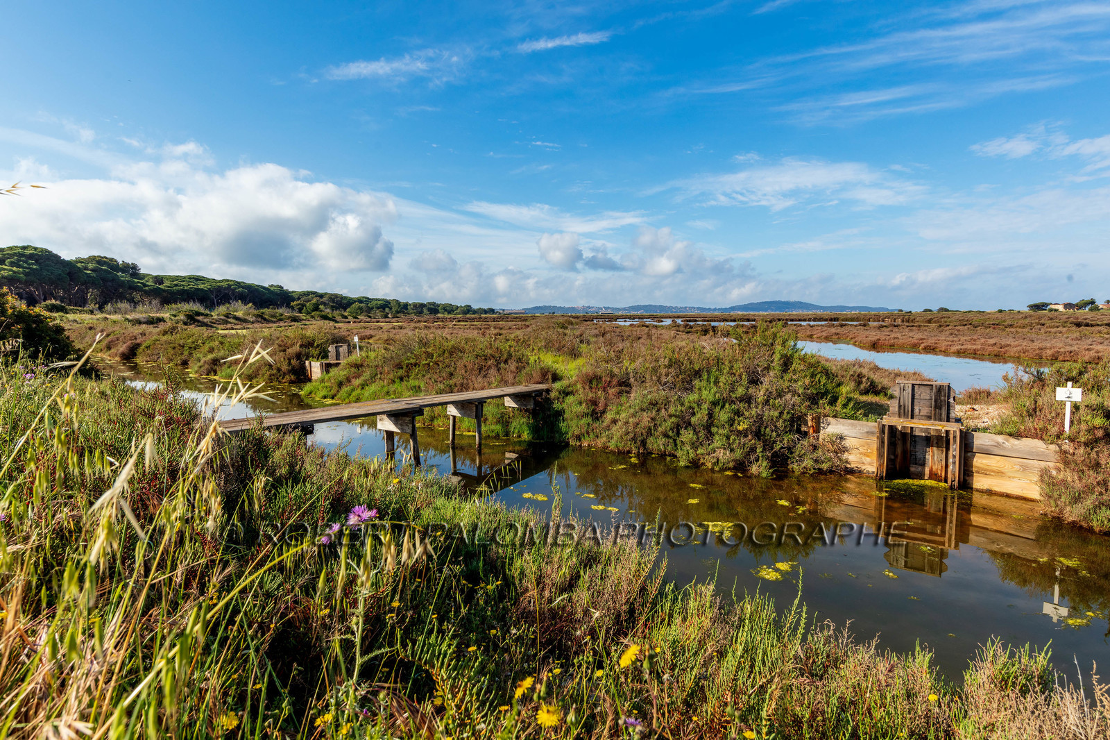 Salins d'Hyères