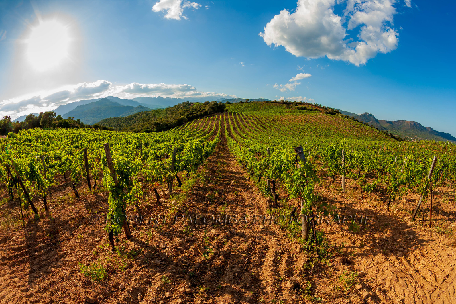 Domaine de Torracia
