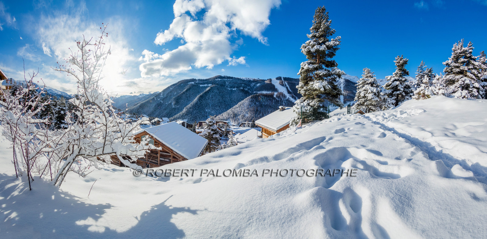 Auron