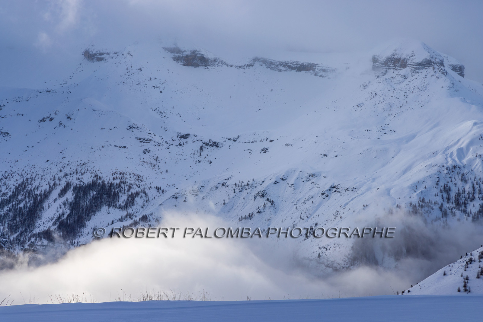 Auron
