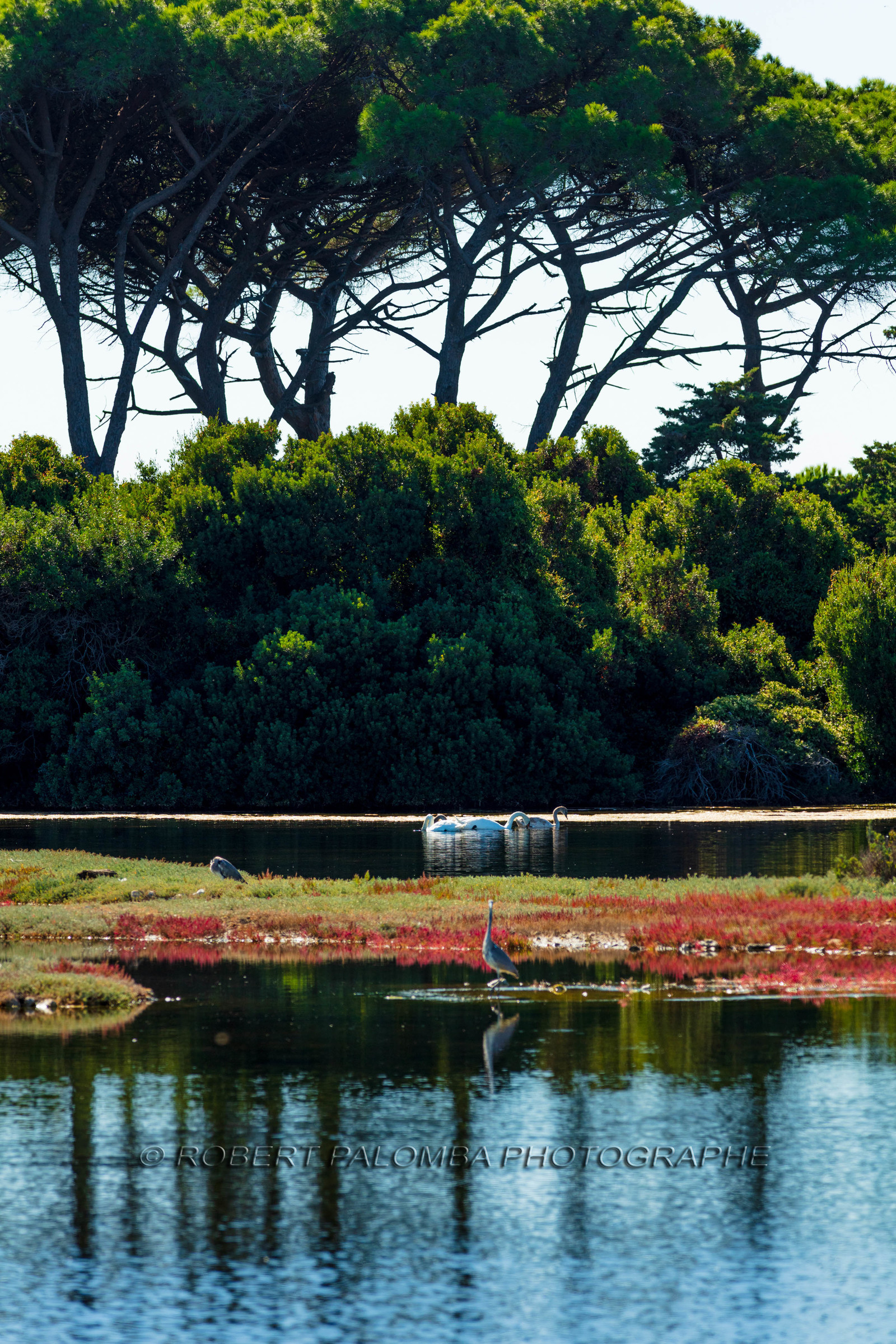 Lérins, Sainte-Marguerite