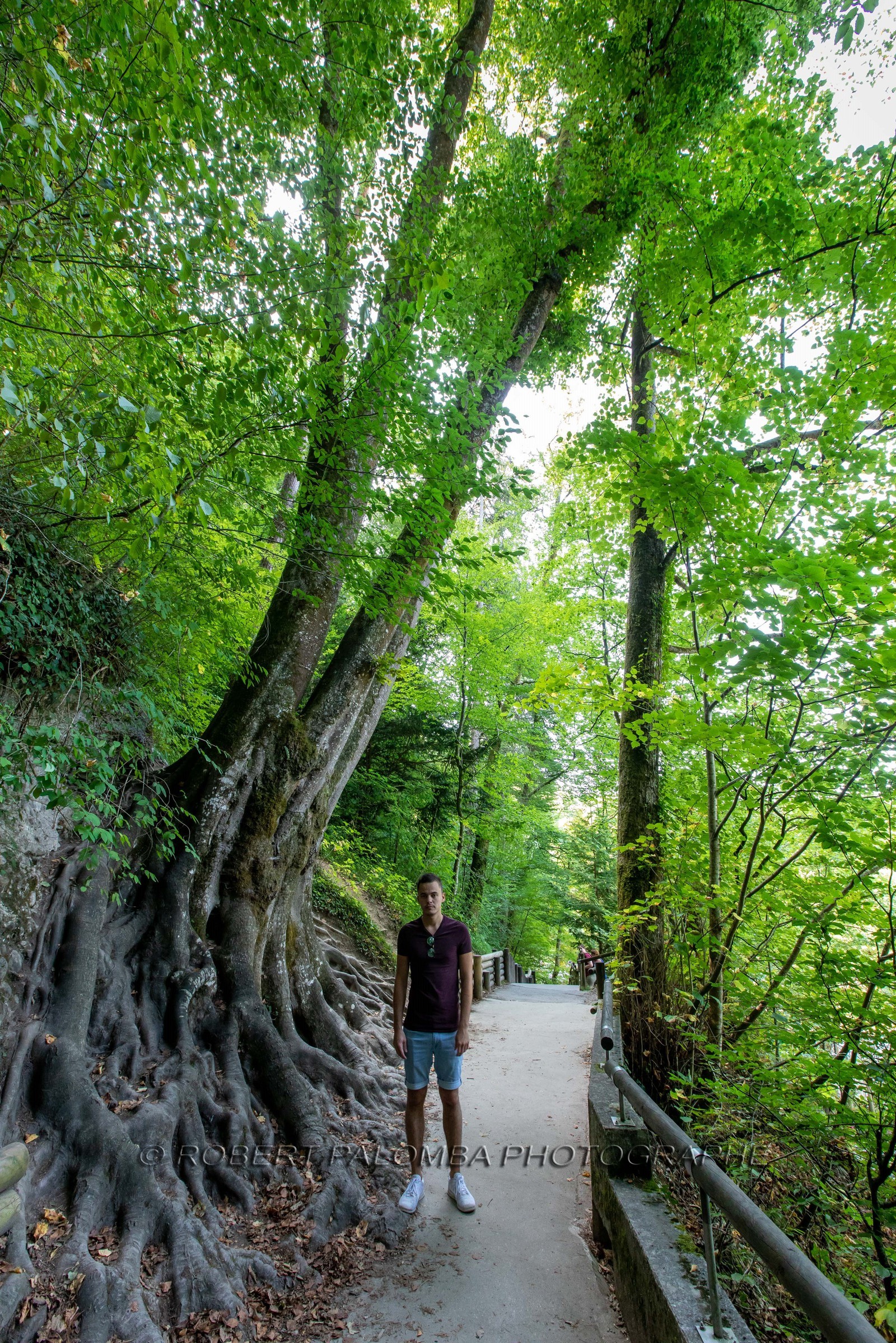 Gorges du Fier