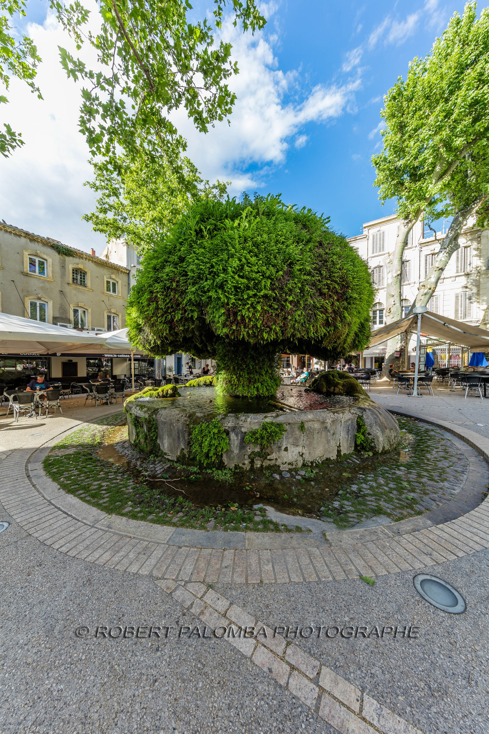 Salon-de-Provence