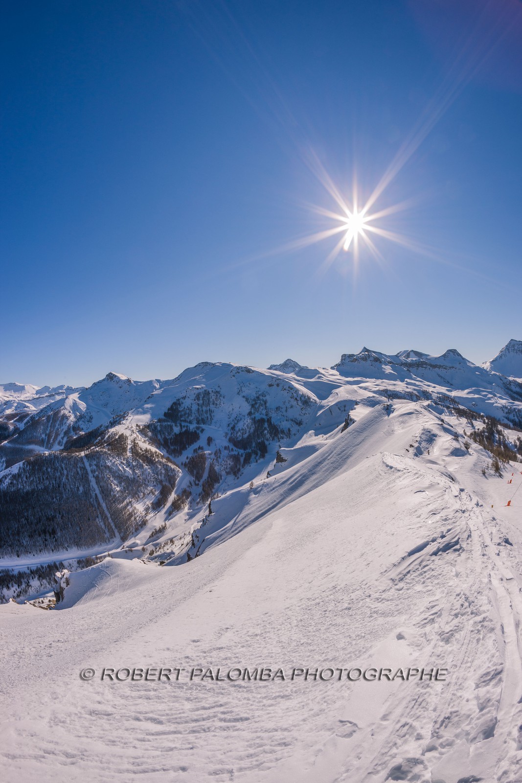 Auron