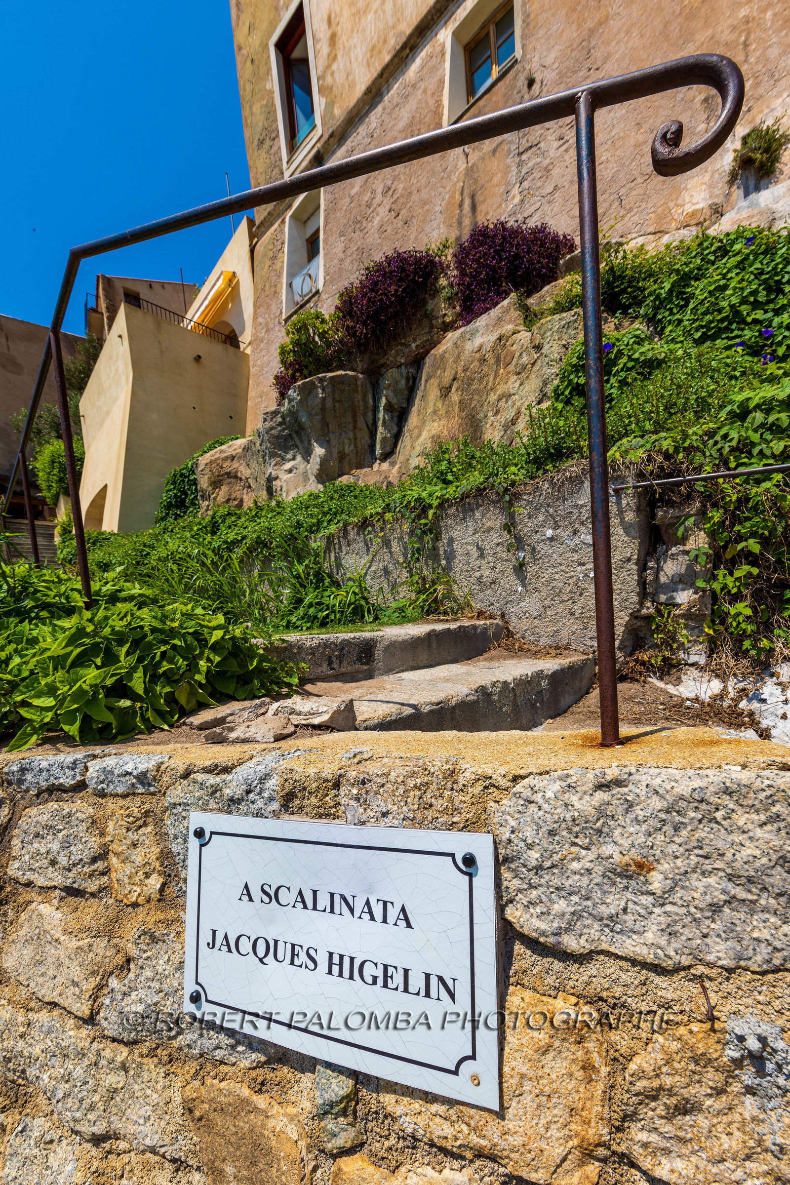 Calvi