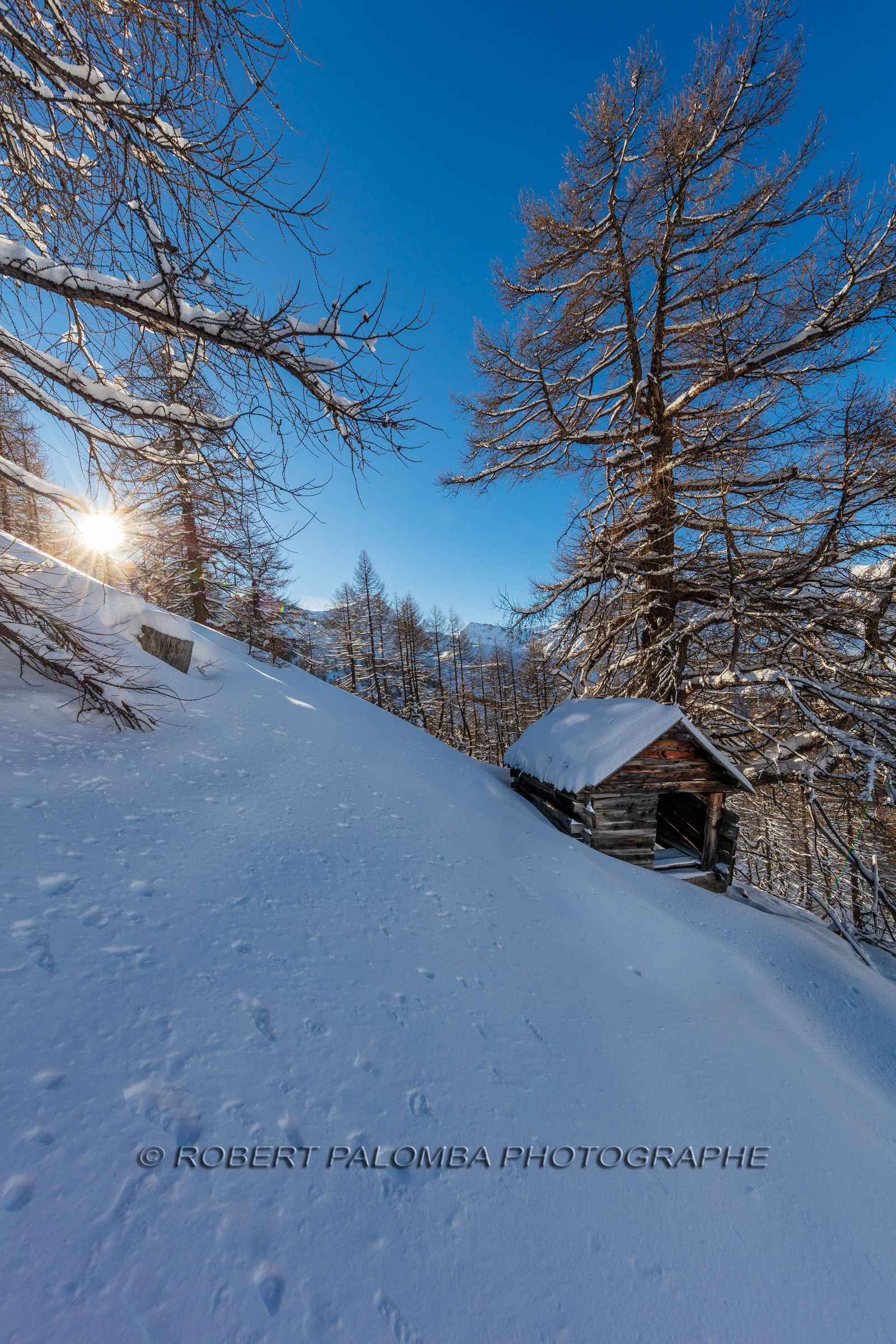 Auron