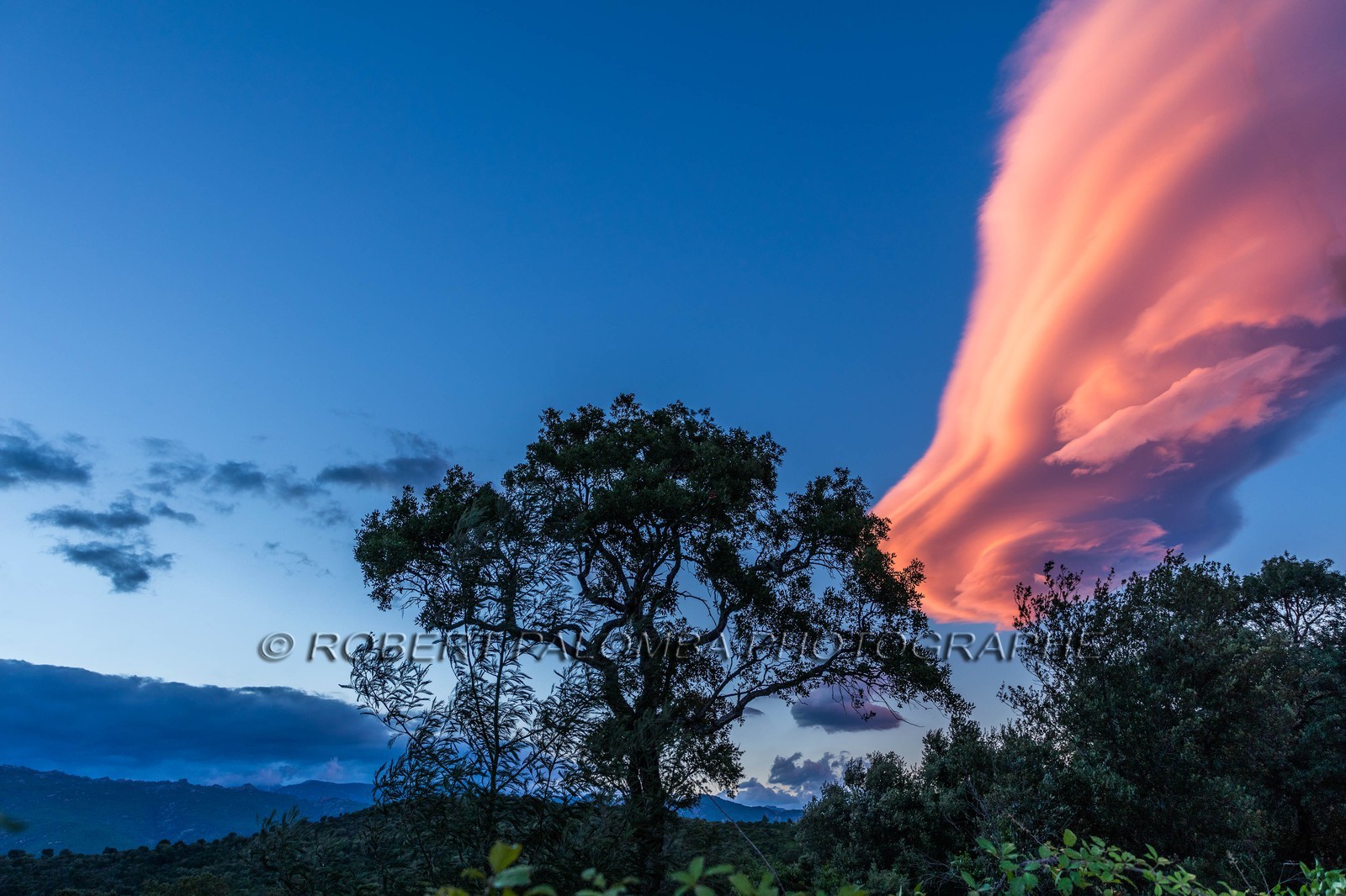 Lenticulaire
