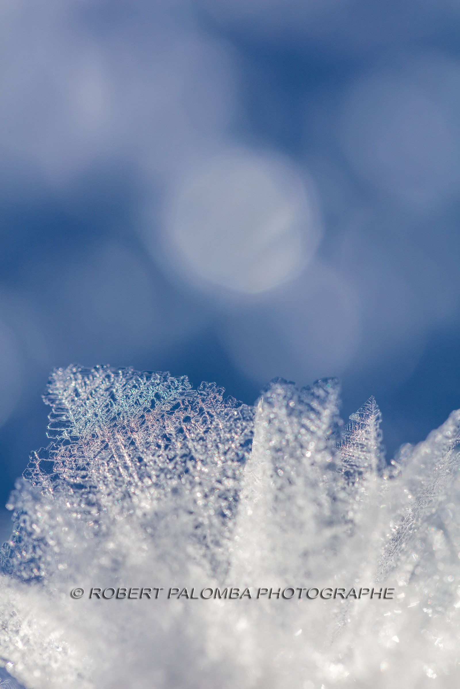 Cristaux de neige