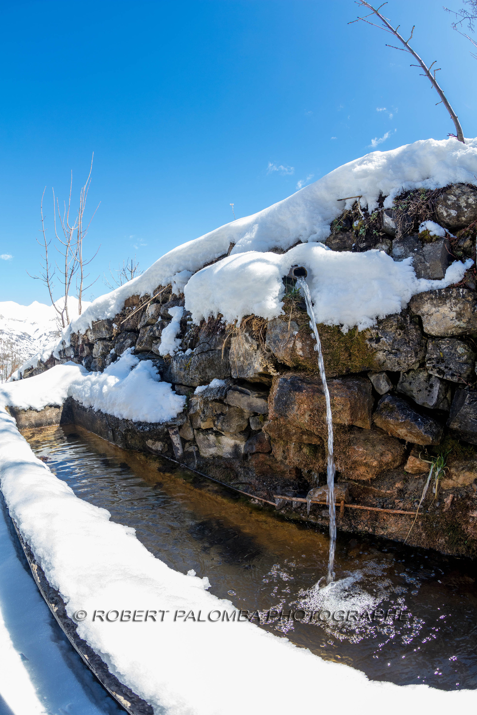 Le Seignus d'Allos