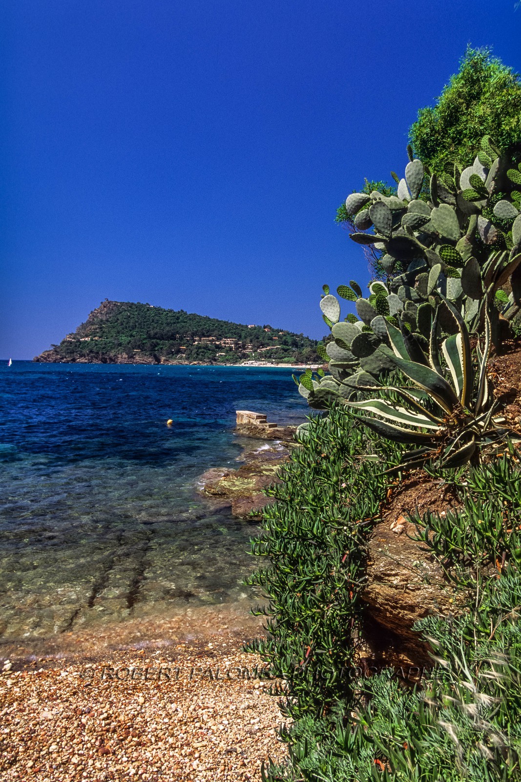 .Rayol-Canadel-sur-Mer