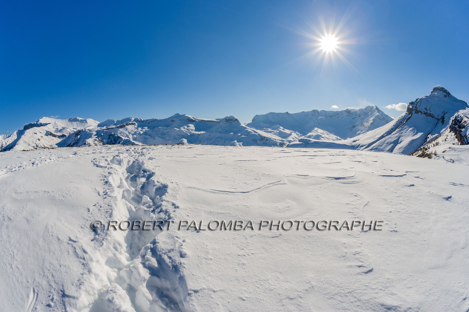 Auron